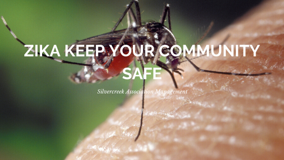 How to keep the community safe from the Zika virus