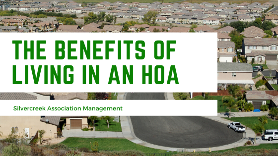 Benefits Of Living In An Homeowners association