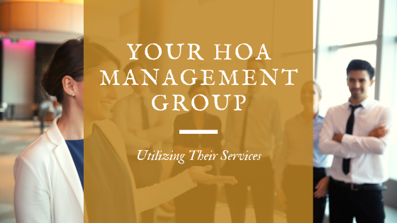 Getting the most out of a homeowners association a management group