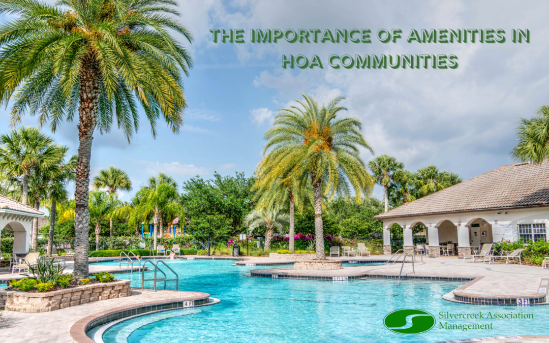 The Importance of Amenities in HOA Communities: Why They Matter